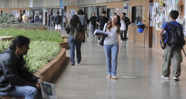 Vale a pena ter ações de educação no portfólio? Grandes nomes da Faria Lima respondem