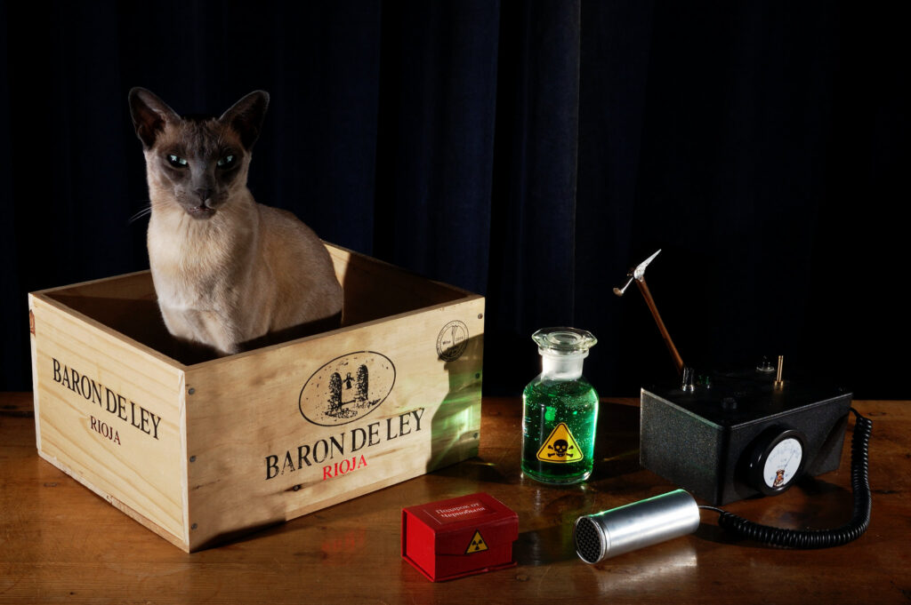 O gato de schrodinger